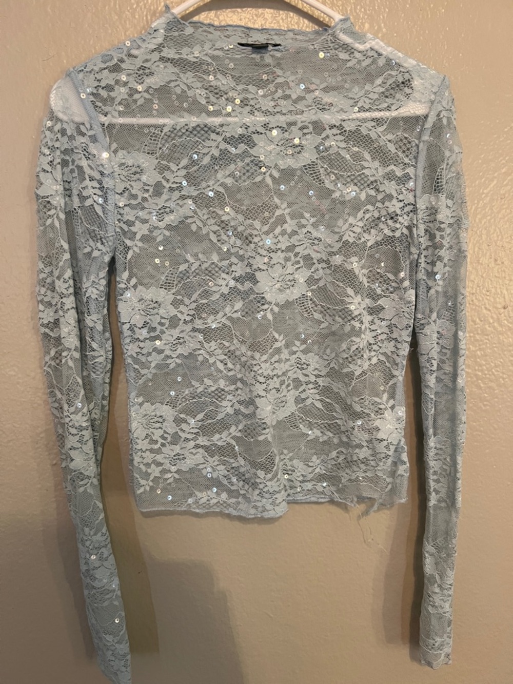 wild fable Light Blue Sheer Lace Sequin Long Sleeve Top